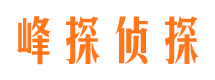 商河市婚外情调查